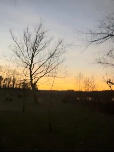 Pymatuning State Park - Shelter #2 - Jamestown, PA