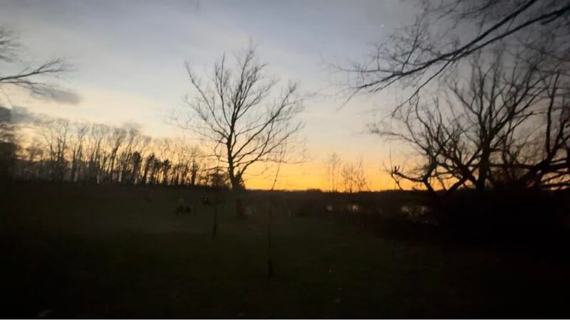 Pymatuning State Park - Shelter #2 - Jamestown, PA
