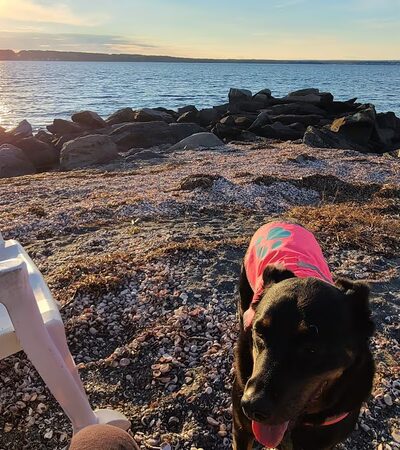 Head's Beach, Jamestown - Jamestown, RI