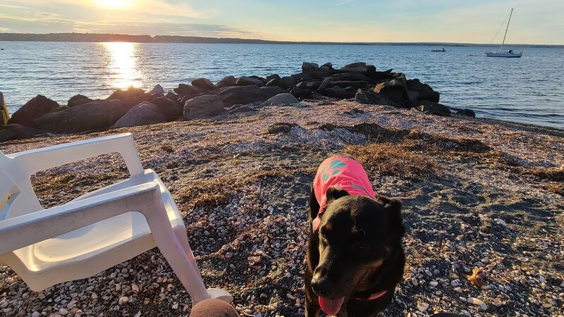 Head's Beach, Jamestown - Jamestown, RI