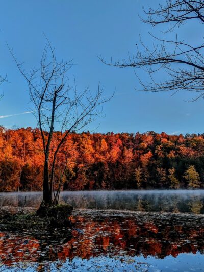 Clark Reservation State Park - Jamesville, NY