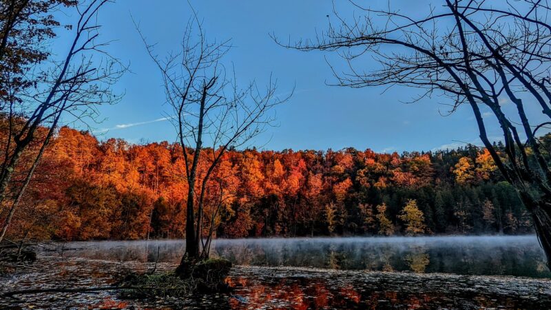 Clark Reservation State Park - Jamesville, NY