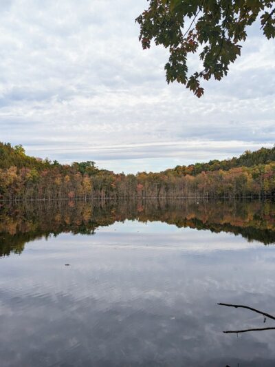 Clark Reservation State Park - Jamesville, NY