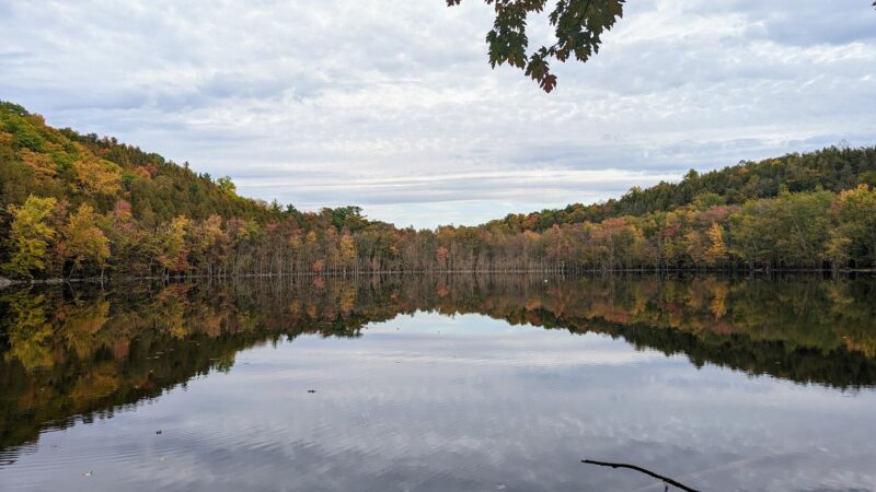 Clark Reservation State Park - Jamesville, NY
