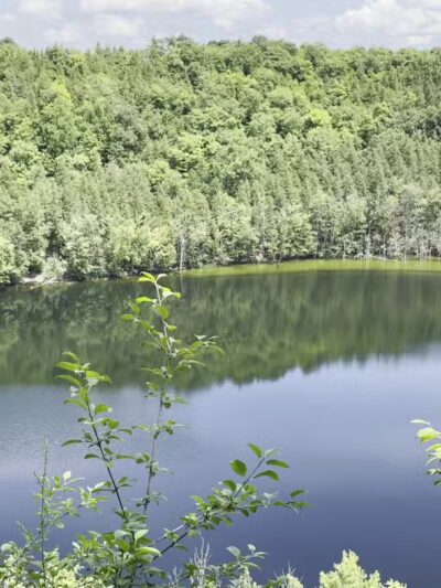 Clark Reservation State Park - Jamesville, NY