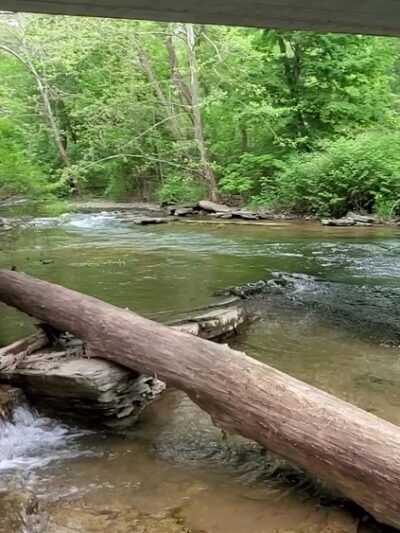 Fiddlers Green Park - Jamesville, NY