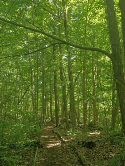 Fiddlers Green Park - Jamesville, NY