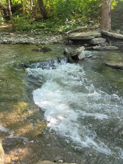 Fiddlers Green Park - Jamesville, NY