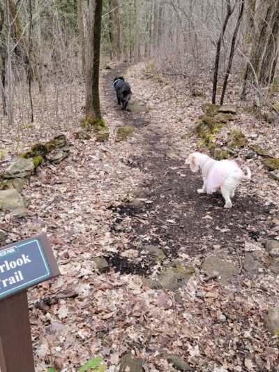 Fiddlers Green Park - Jamesville, NY