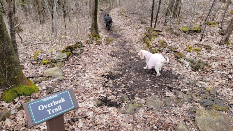 Fiddlers Green Park - Jamesville, NY