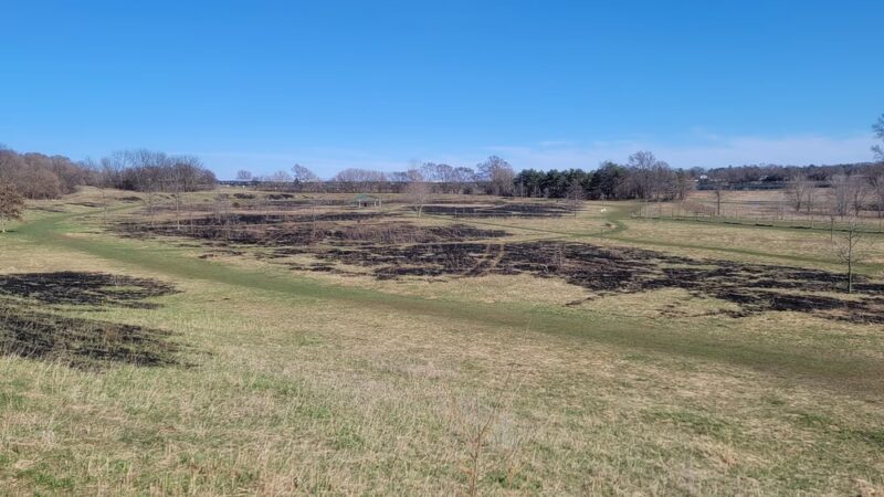 Prairie Knoll Park - Janesville, WI