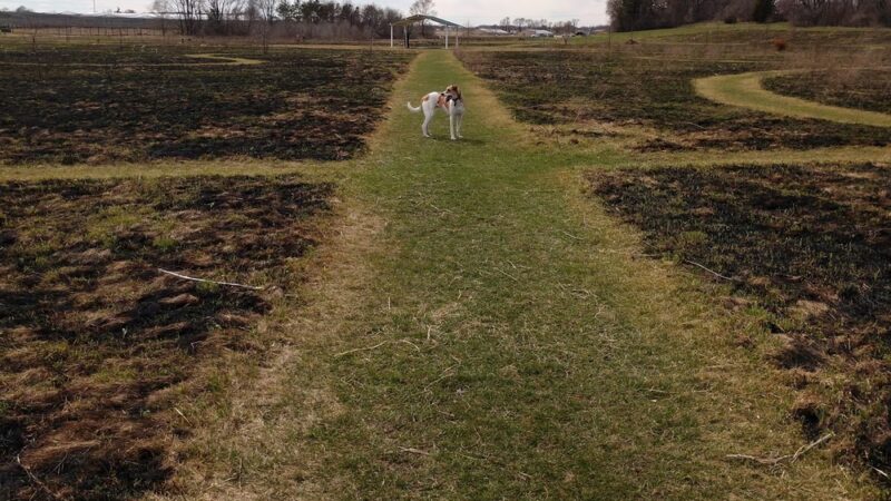 Prairie Knoll Park - Janesville, WI