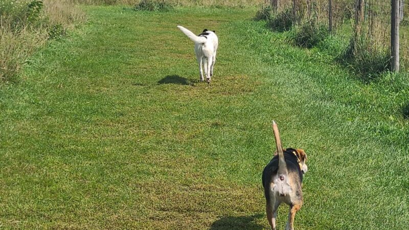 Prairie Knoll Park - Janesville, WI