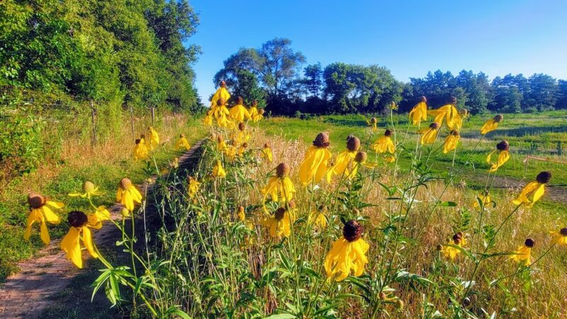 Prairie Knoll Park - Janesville, WI