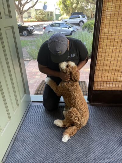 Jans K9s - ,