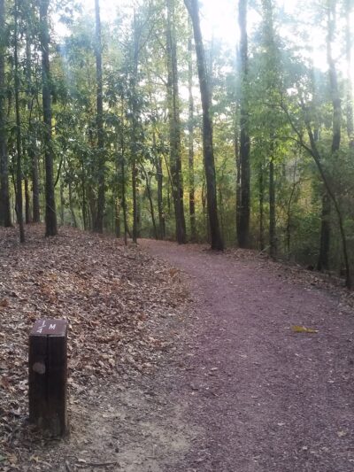 12th Avenue Park - Jasper, AL