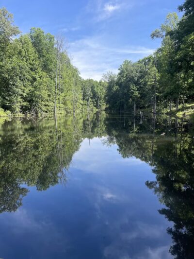 City of Jasper Off Leash dog park - Jasper, AL