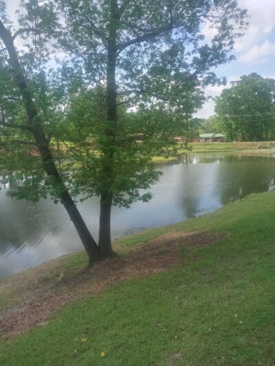 City of Jasper Off Leash dog park - Jasper, AL