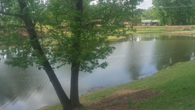 City of Jasper Off Leash dog park - Jasper, AL