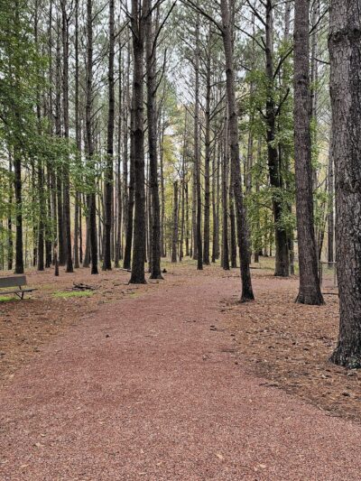 City of Jasper Off Leash dog park - Jasper, AL