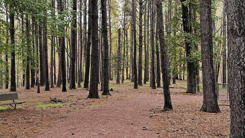 City of Jasper Off Leash dog park - Jasper, AL