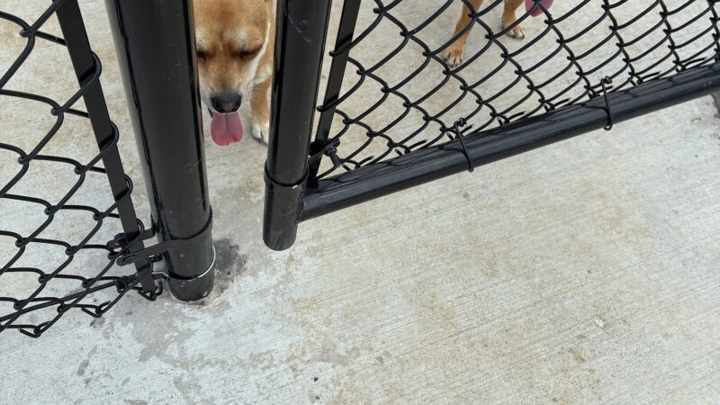 Dog Park at Love's Travel Stops - Jasper, MO