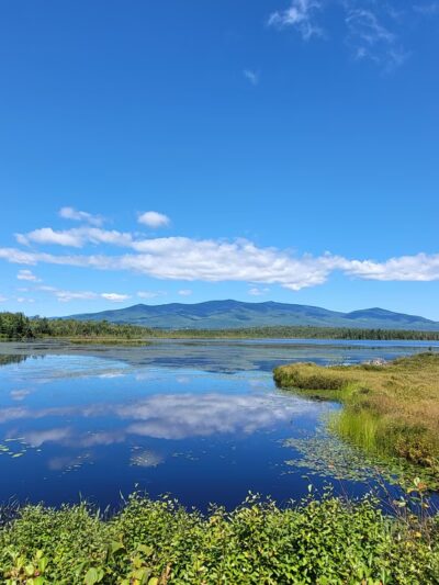 Cherry Pond Boardwalk - Jefferson, NH