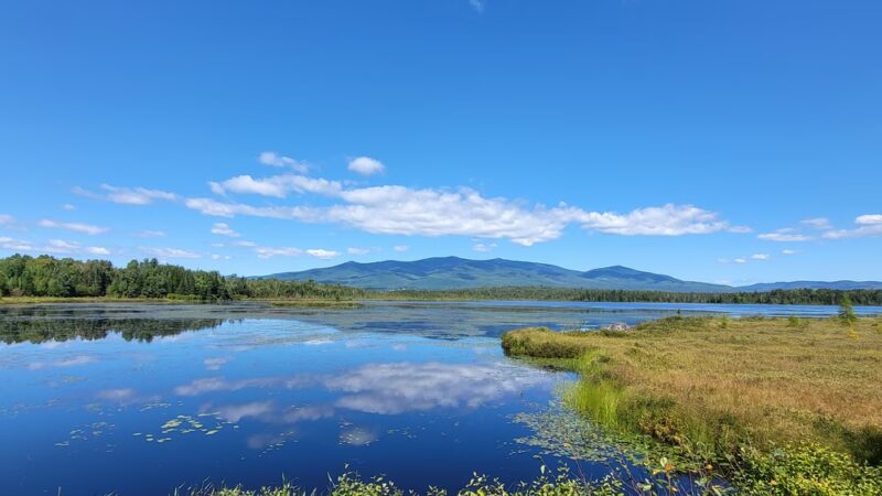 Cherry Pond Boardwalk - Jefferson, NH