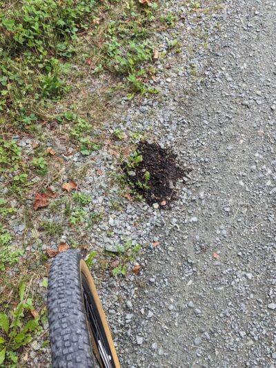 Cherry Pond Boardwalk - Jefferson, NH