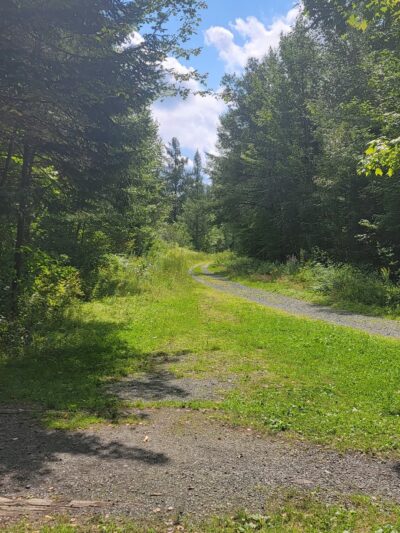 Cherry Pond Boardwalk - Jefferson, NH