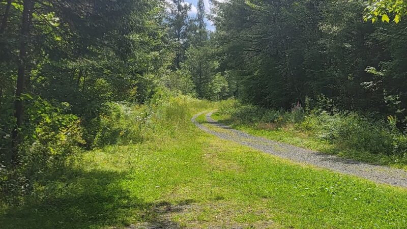 Cherry Pond Boardwalk - Jefferson, NH