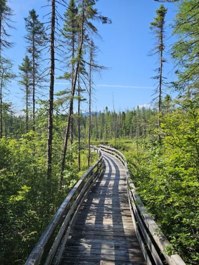 Mud Pond National Recreation Trail - Jefferson, NH