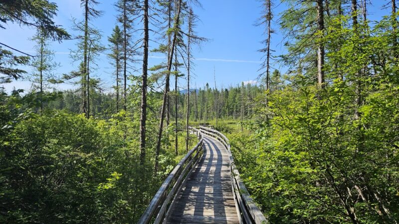 Mud Pond National Recreation Trail - Jefferson, NH