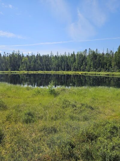 Mud Pond National Recreation Trail - Jefferson, NH
