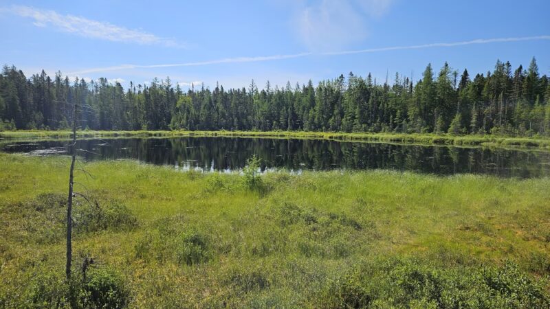 Mud Pond National Recreation Trail - Jefferson, NH