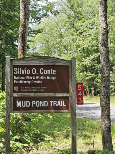 Mud Pond National Recreation Trail - Jefferson, NH