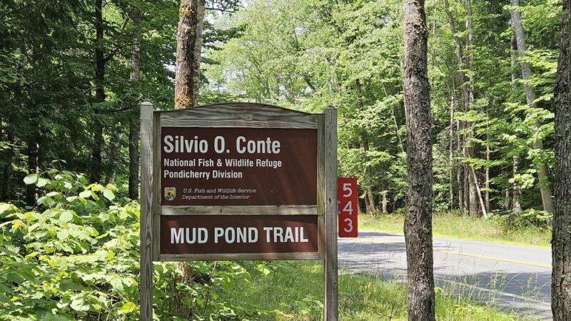 Mud Pond National Recreation Trail - Jefferson, NH