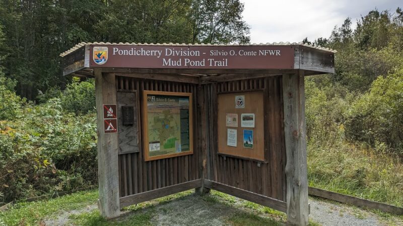 Mud Pond National Recreation Trail - Jefferson, NH