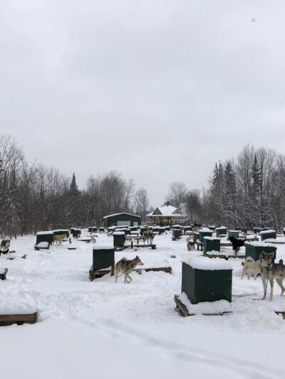Muddy Paw Sled Dog Kennel - Jefferson, NH