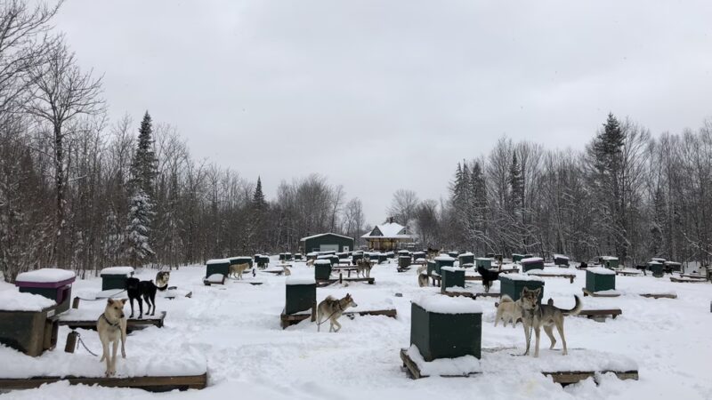 Muddy Paw Sled Dog Kennel - Jefferson, NH
