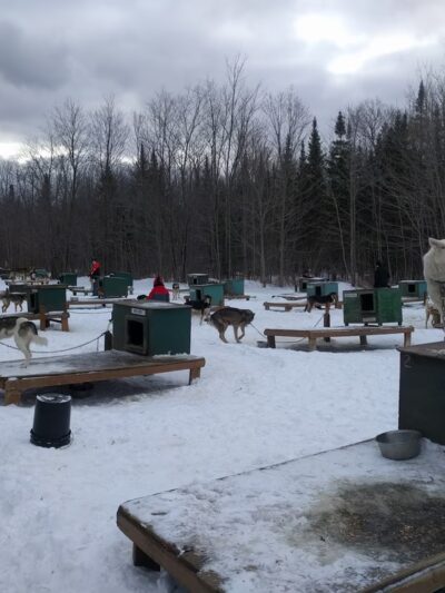 Muddy Paw Sled Dog Kennel - Jefferson, NH