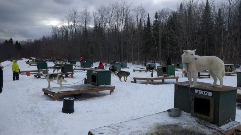 Muddy Paw Sled Dog Kennel - Jefferson, NH