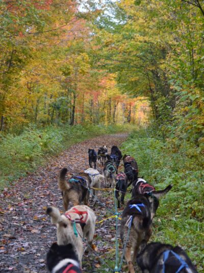 Muddy Paw Sled Dog Kennel - Jefferson, NH
