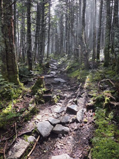 Mt Avalon Trail - Jefferson, NH