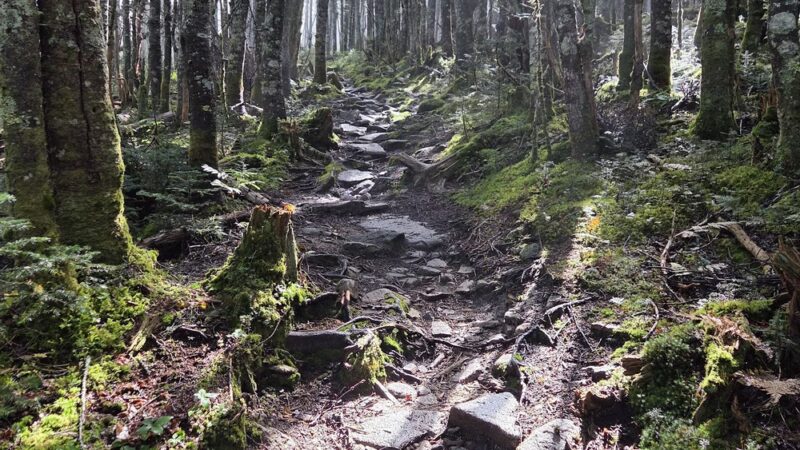 Mt Avalon Trail - Jefferson, NH