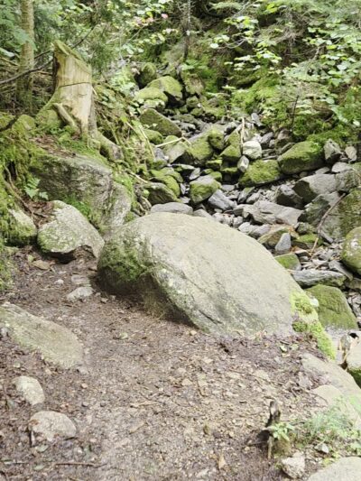 Mt Avalon Trail - Jefferson, NH