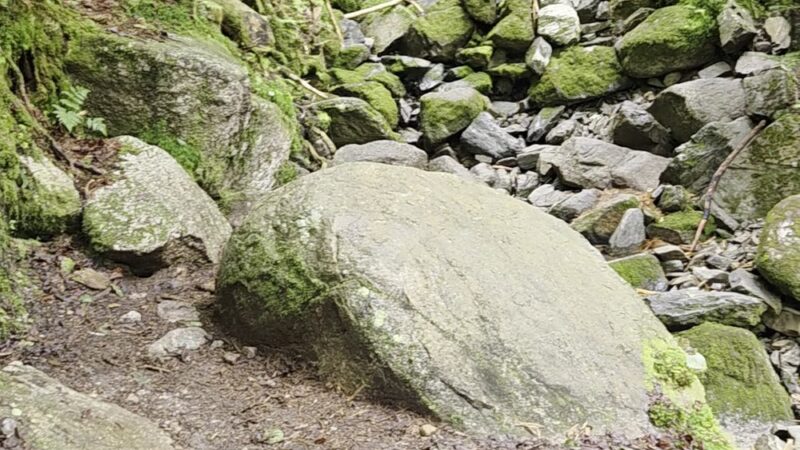 Mt Avalon Trail - Jefferson, NH