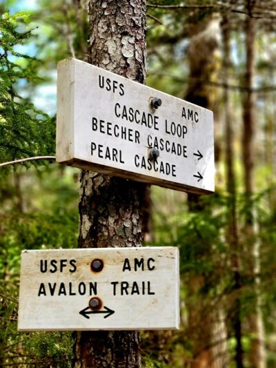 Mt Avalon Trail - Jefferson, NH