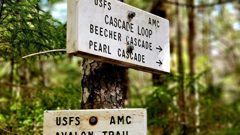 Mt Avalon Trail - Jefferson, NH