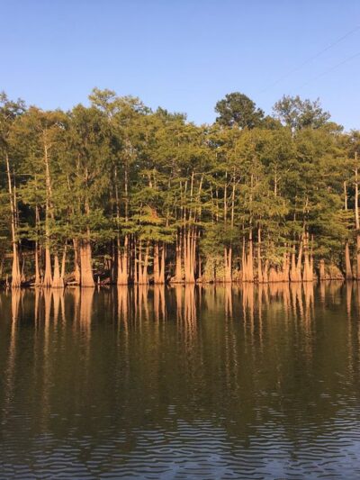 Moro Bay State Park - Jersey, AR